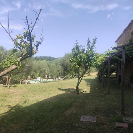 Borgo Villa A Tolli Castelnuovo dell'Abate Exterior photo